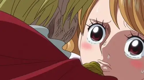 One Piece Temporada 19 Episodios 810 • Sub Español