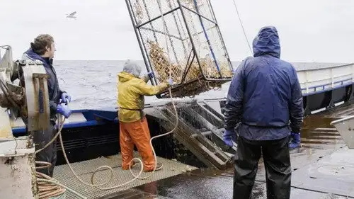 Pesca radical Temporada 17 Episodios 5 • Sub Español