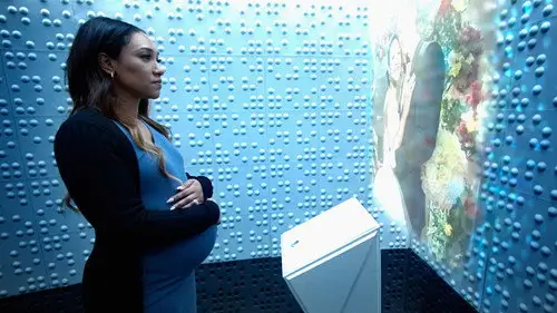 The Flash Temporada 9 Episodios 11 • Sub Español