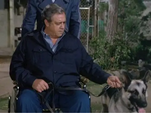 Ironside Temporada 6 Episodios 2 • Sub Español