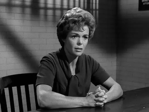 Perry Mason Temporada 9 Episodios 3 • Sub Español