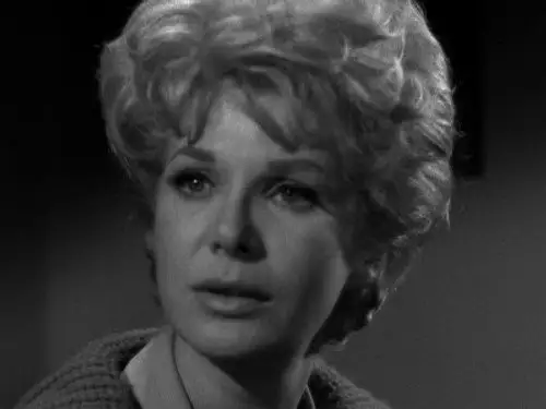 Perry Mason Temporada 9 Episodios 10 • Sub Español