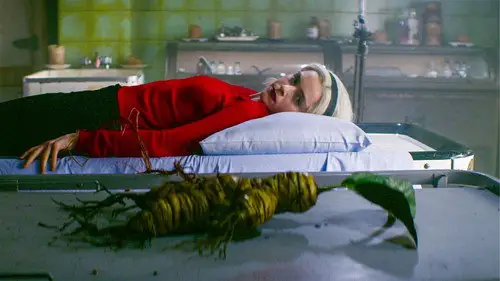 Las escalofriantes aventuras de Sabrina Temporada 1 Episodios 19 • Sub Español