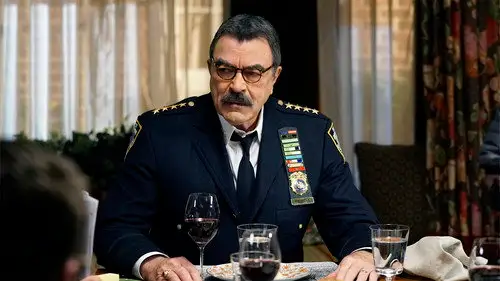 Familia de policías Temporada 8 Episodios 18 • Sub Español