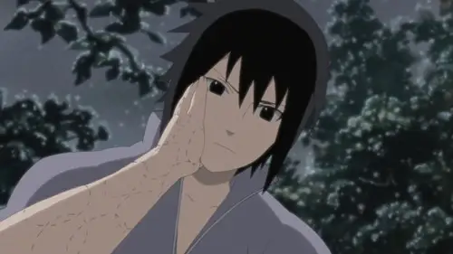 Naruto Shippuden Temporada 20 Episodios 431 • Sub Español
