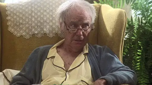 Magnum 1980 Temporada 1 Episodios 11 • Sub Español