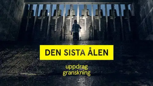 Uppdrag granskning Temporada 21 Episodios 21 • Sub Español