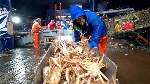 Pesca radical Temporada 17 Episodios 22 • Sub Español