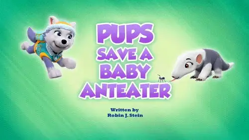 La Patrulla Canina Temporada 0 Episodios 22 • Sub Español