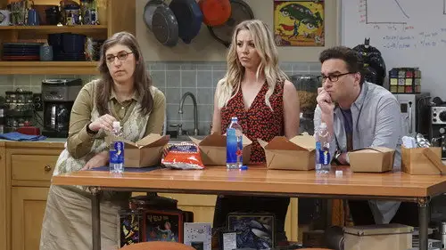 Big Bang Temporada 10 Episodios 9 • Sub Español
