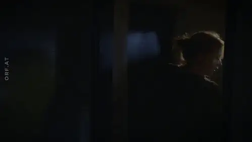 Crimen en los Alpes Temporada 17 Episodios 3 • Sub Español