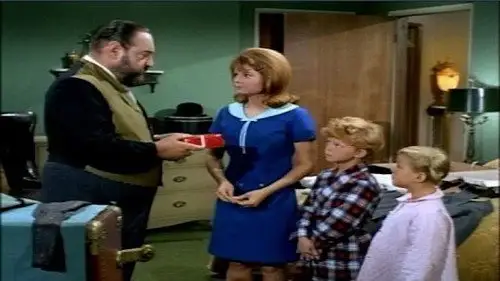 Family Affair Temporada 2 Episodios 3 • Sub Español