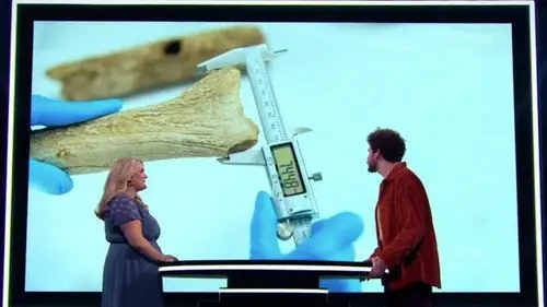 The Floor 2024 Temporada 4 Episodios 12 • Sub Español