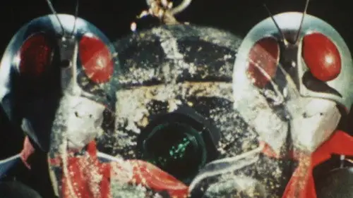 Kamen Rider Temporada 2 Episodios 21 • Sub Español