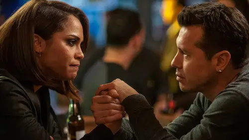 Chicago P.D. Temporada 2 Episodios 13 • Sub Español