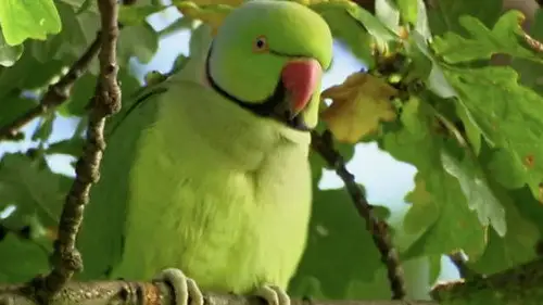 Countryfile S34E9 • Oglądaj Online