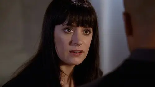 Mentes criminales Temporada 4 Episodios 17 • Sub Español