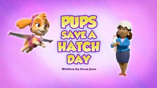 La Patrulla Canina Temporada 0 Episodios 23 • Sub Español
