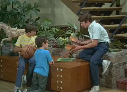 The Brady Bunch Temporada 2 Episodios 12 • Sub Español
