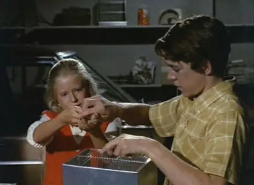 The Brady Bunch Temporada 2 Episodios 13 • Sub Español