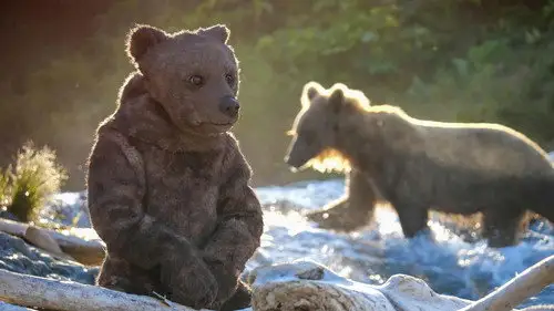 Nature S38E16 • Oglądaj Online