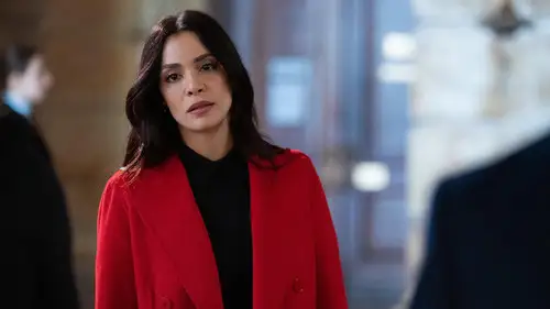 Ley y orden Temporada 25 Episodios 11 • Sub Español