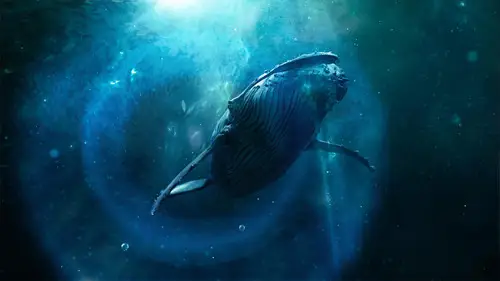 El quinto día Temporada 0 Episodios 2 • Sub Español