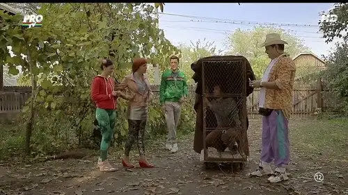 Las Fierbinţi Temporada 5 Episodios 3 • Sub Español
