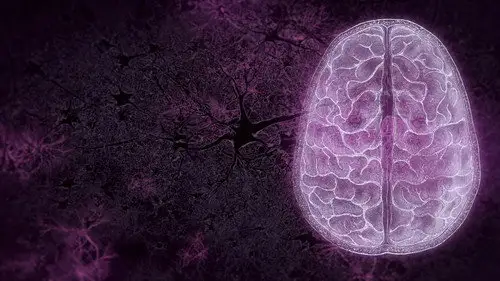NOVA Temporada 50 Cap 9 • Español Online