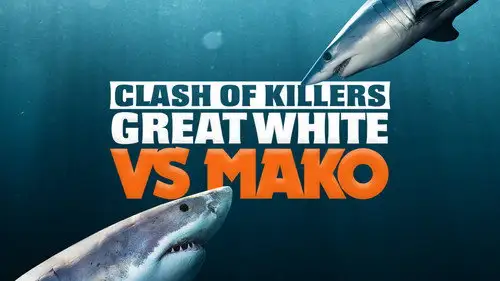 Shark Week S35E17 • Oglądaj Online