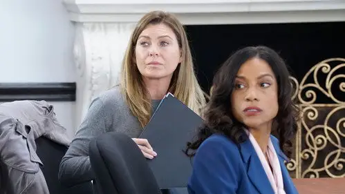 Anatomía de Grey Temporada 16 Cap 8 • Español Online