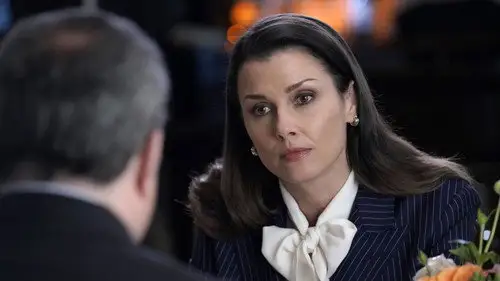 Familia de policías Temporada 9 Episodios 20 • Sub Español