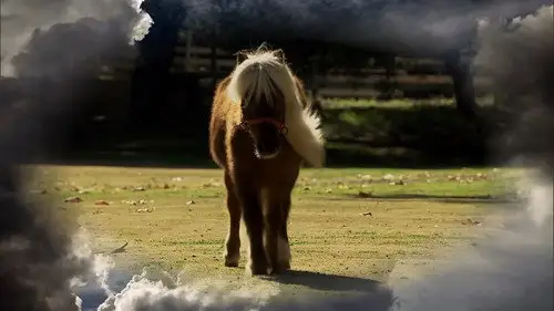 Parks and Recreation Temporada 3 Episodios 16 • Sub Español