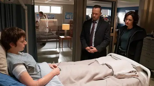 Familia de policías Temporada 10 Episodios 11 • Sub Español