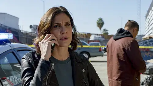 NCIS: Los Ángeles Temporada 12 Cap 8 • Español Online