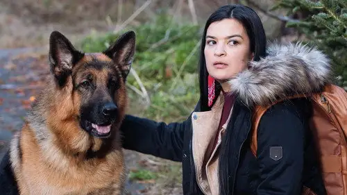 Hudson & Rex Temporada 3 Episodios 11 • Sub Español