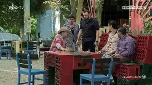 Las Fierbinţi Temporada 19 Episodios 8 • Sub Español