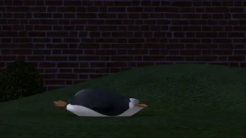 Los pingüinos de Madagascar Temporada 1 Episodios 8 • Sub Español