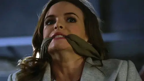 The Flash Temporada 1 Episodios 10 • Sub Español