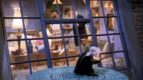 Friends Temporada 1 Episodios 19 • Sub Español