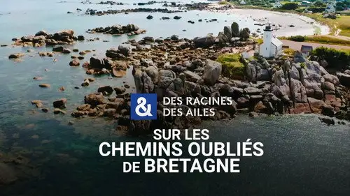 Des racines & des ailes Temporada 27 Episodios 10 • Sub Español