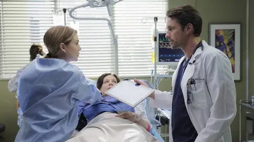 Anatomía de Grey Temporada 12 Episodios 12 • Sub Español
