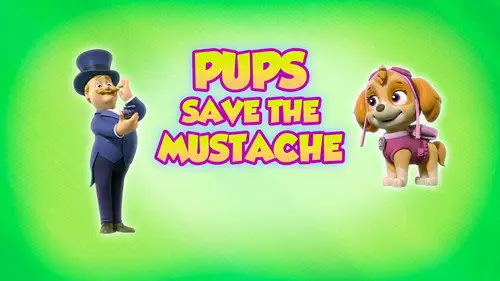 La Patrulla Canina Temporada 8 Episodios 9 • Sub Español