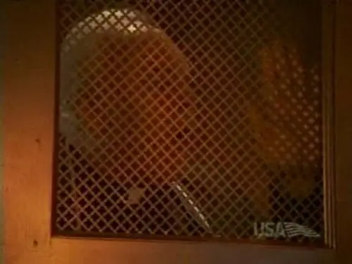 Nash Bridges Temporada 4 Episodios 9 • Sub Español