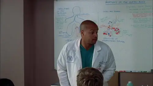 Scrubs Temporada 9 Episodios 1 • Sub Español