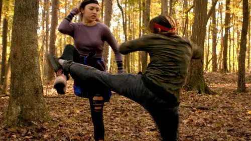 Cobra Kai Temporada 2 Episodios 7 • Sub Español
