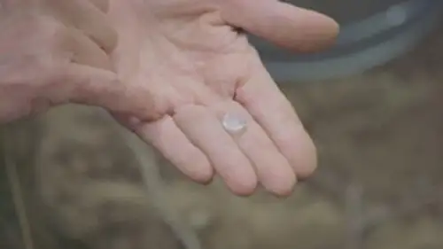 La maldición de Oak Island Temporada 12 Episodios 13 • Sub Español
