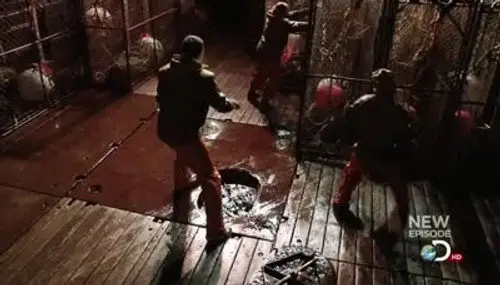 Pesca radical Temporada 7 Episodios 4 • Sub Español