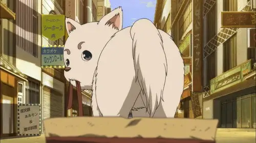 Gintama Temporada 6 Episodios 13 • Sub Español