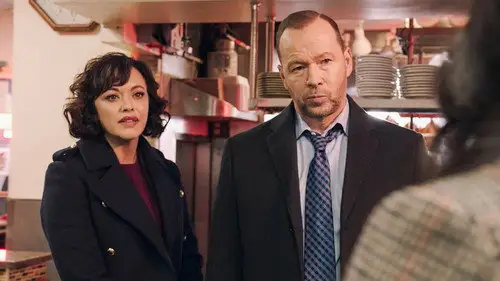 Familia de policías Temporada 14 Episodios 5 • Sub Español